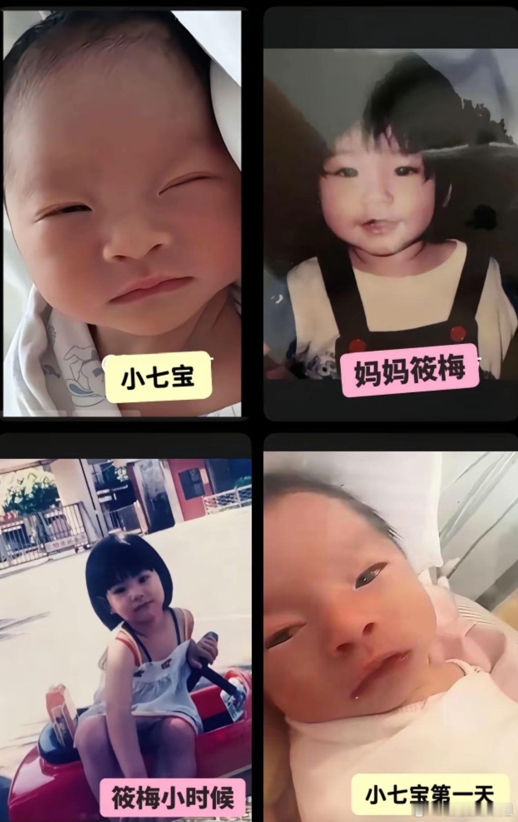 马筱梅儿子简直是她的复制黏贴！ 