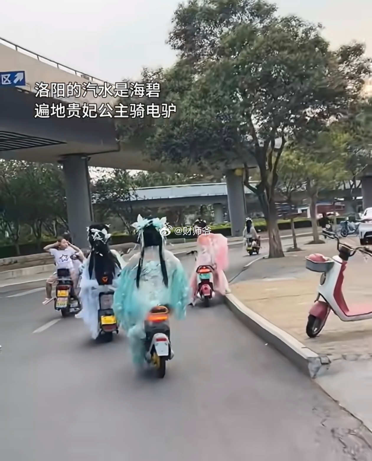 说是这洛阳城，遍地是“贵妃”。