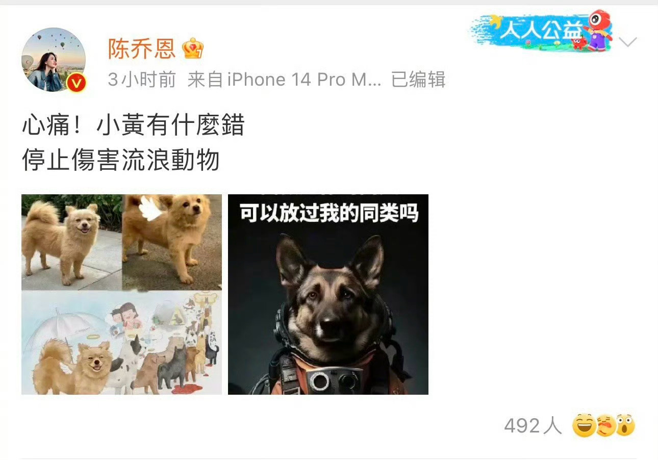 #李小冉为流浪狗发声#薛之谦、陈乔恩、斓曦、阿朵、李小冉、杨迪、刘聪……流浪🐶