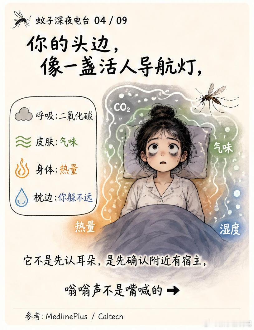 蚊子为什么总喜欢围着耳朵叫蚊子为什么总喜欢在耳边嗡嗡嗡的，因为人睡觉时，头部附近