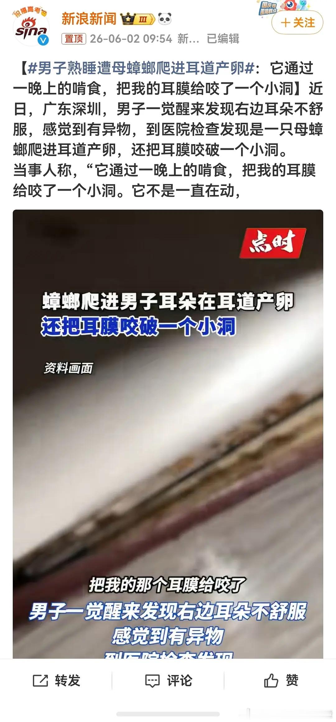 男子熟睡遭母蟑螂爬进耳道产卵