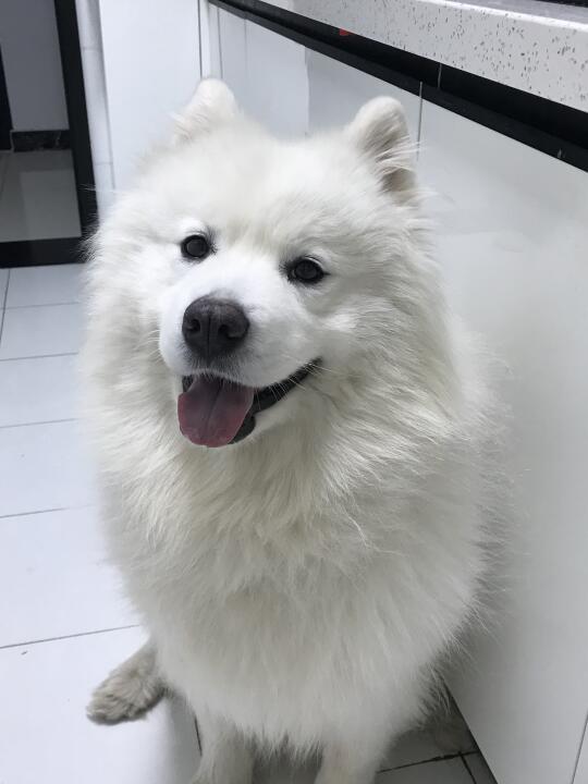 评价下我家孩子长的可爱吗