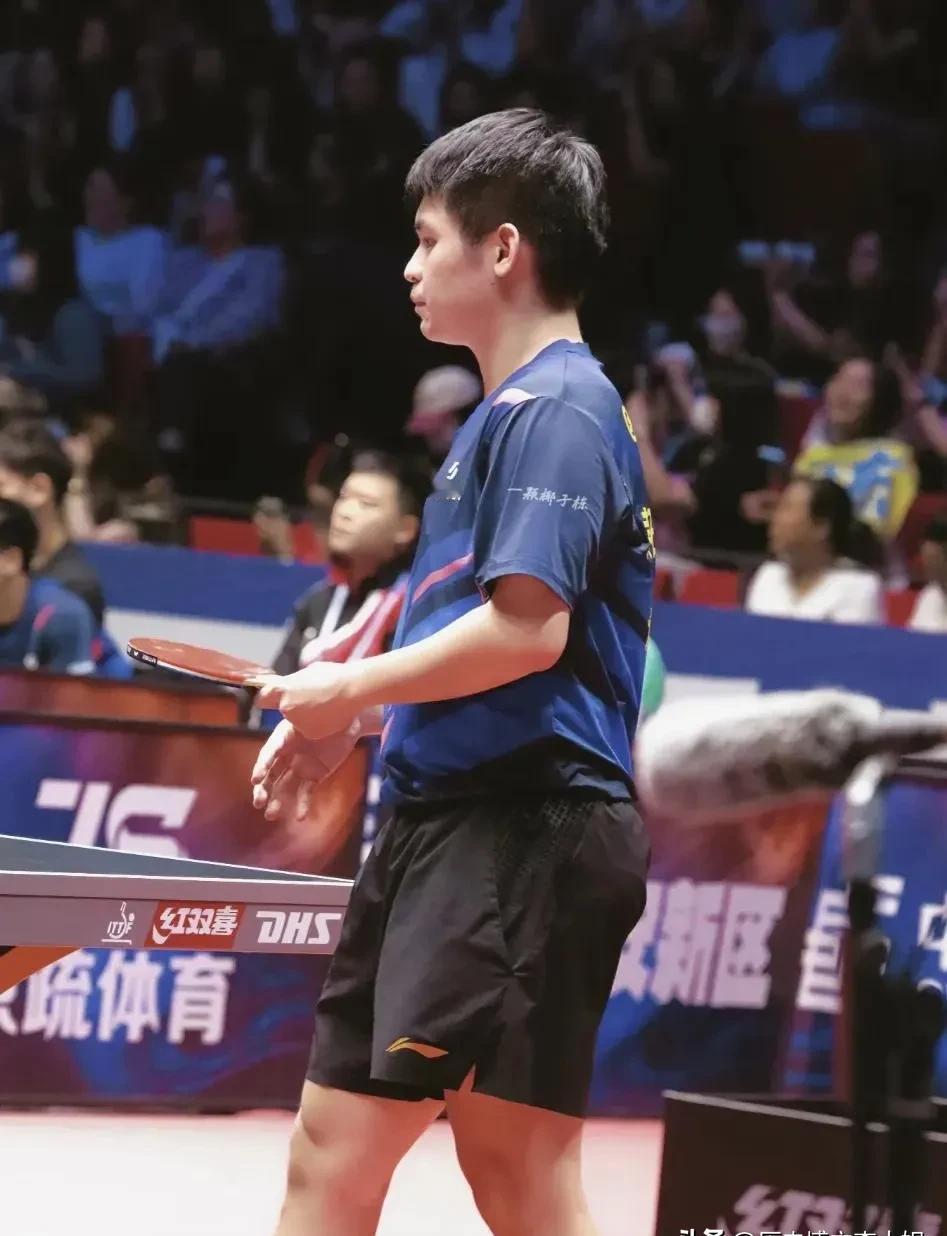 三项全金，林诗栋把悬念打没了

19岁，三线作战，零失误，这剧本谁敢写？

决赛