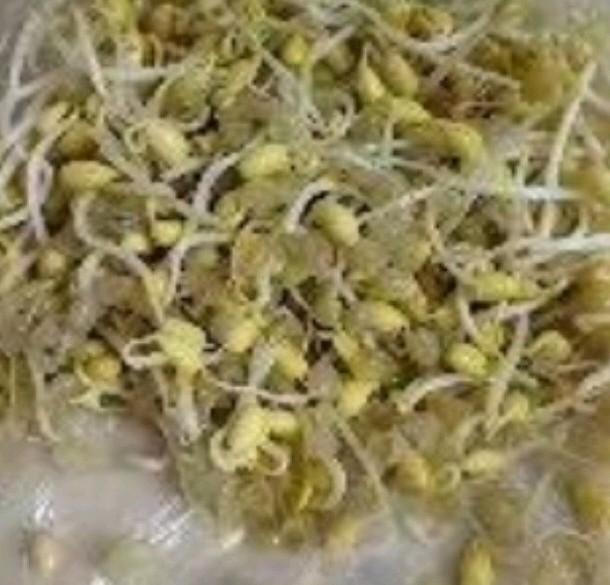 摘豆芽菜相当于“灭火器”真好用。
今天买了豆芽菜，买的时候没想摘的时候，这么麻烦