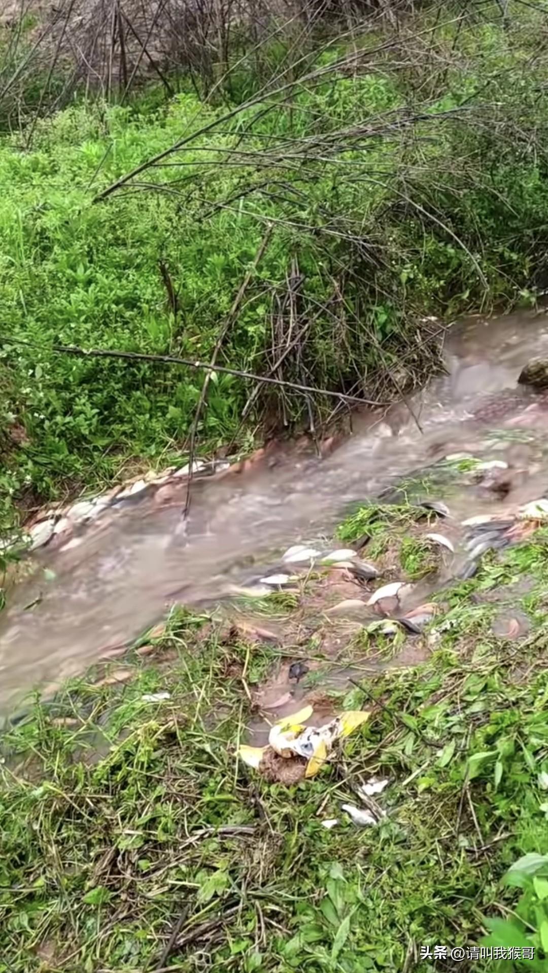 钓鱼佬做梦都想知道的地方