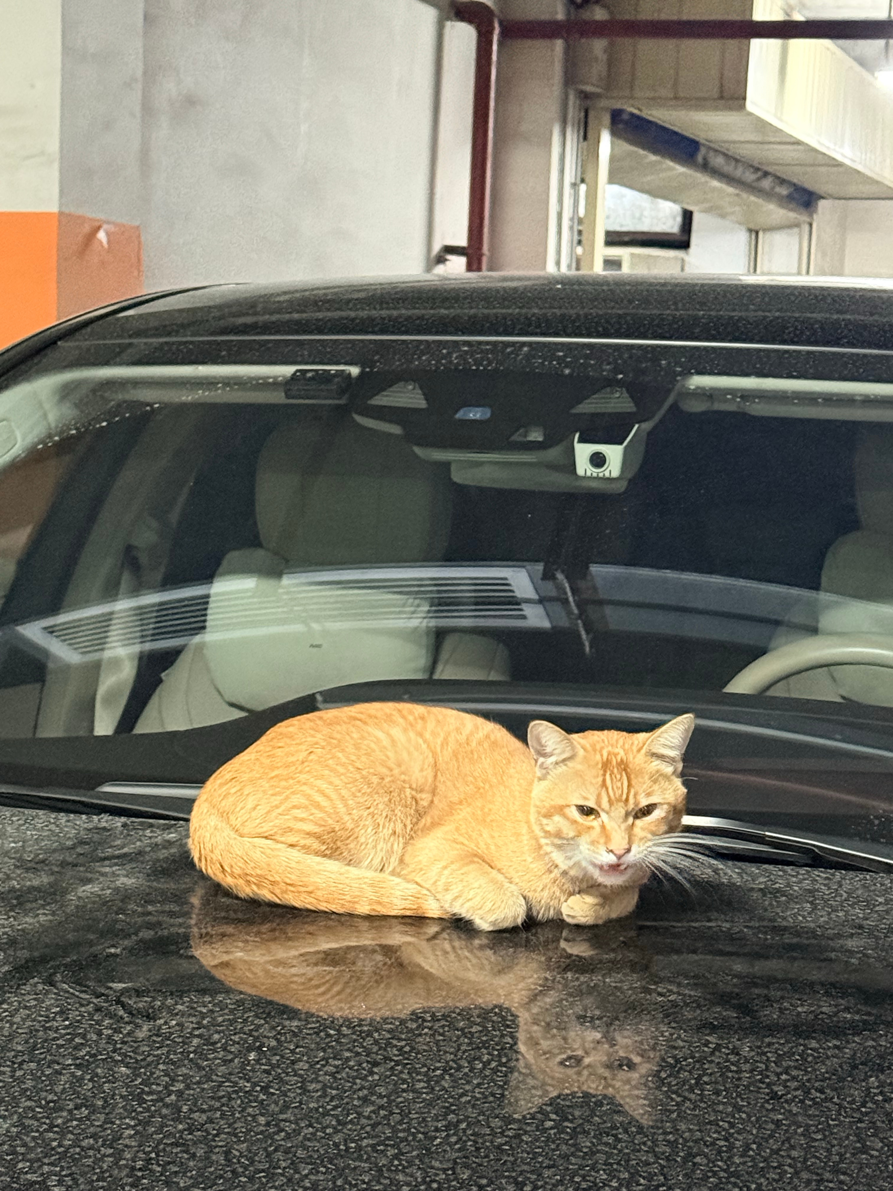 从满脑子冒想法的状态，慢慢沉下心专注沉淀不再慌慌忙，从“很急很急”变成“慢慢专注