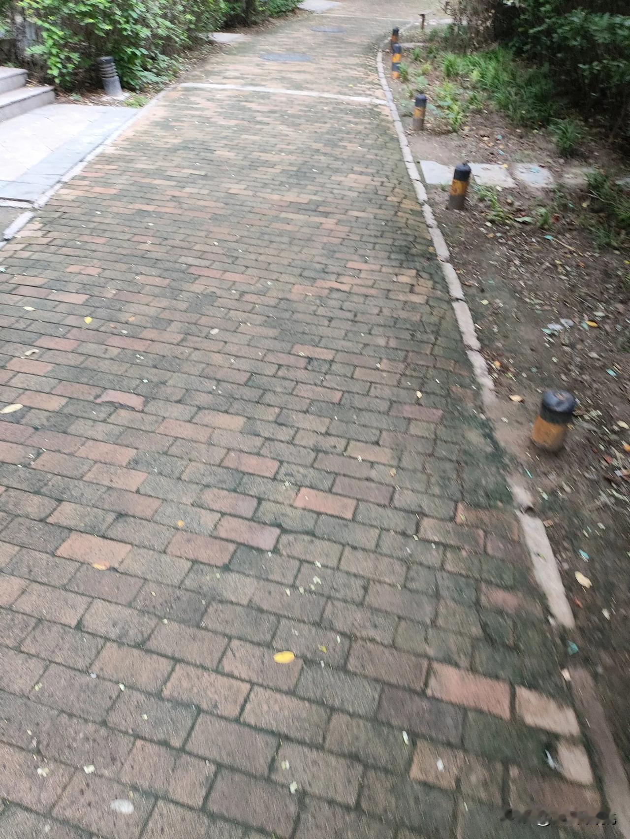 看到小区的路面，这么潮湿，感觉都有绿苔。这让我想起，武汉一个小区。大概10多年前