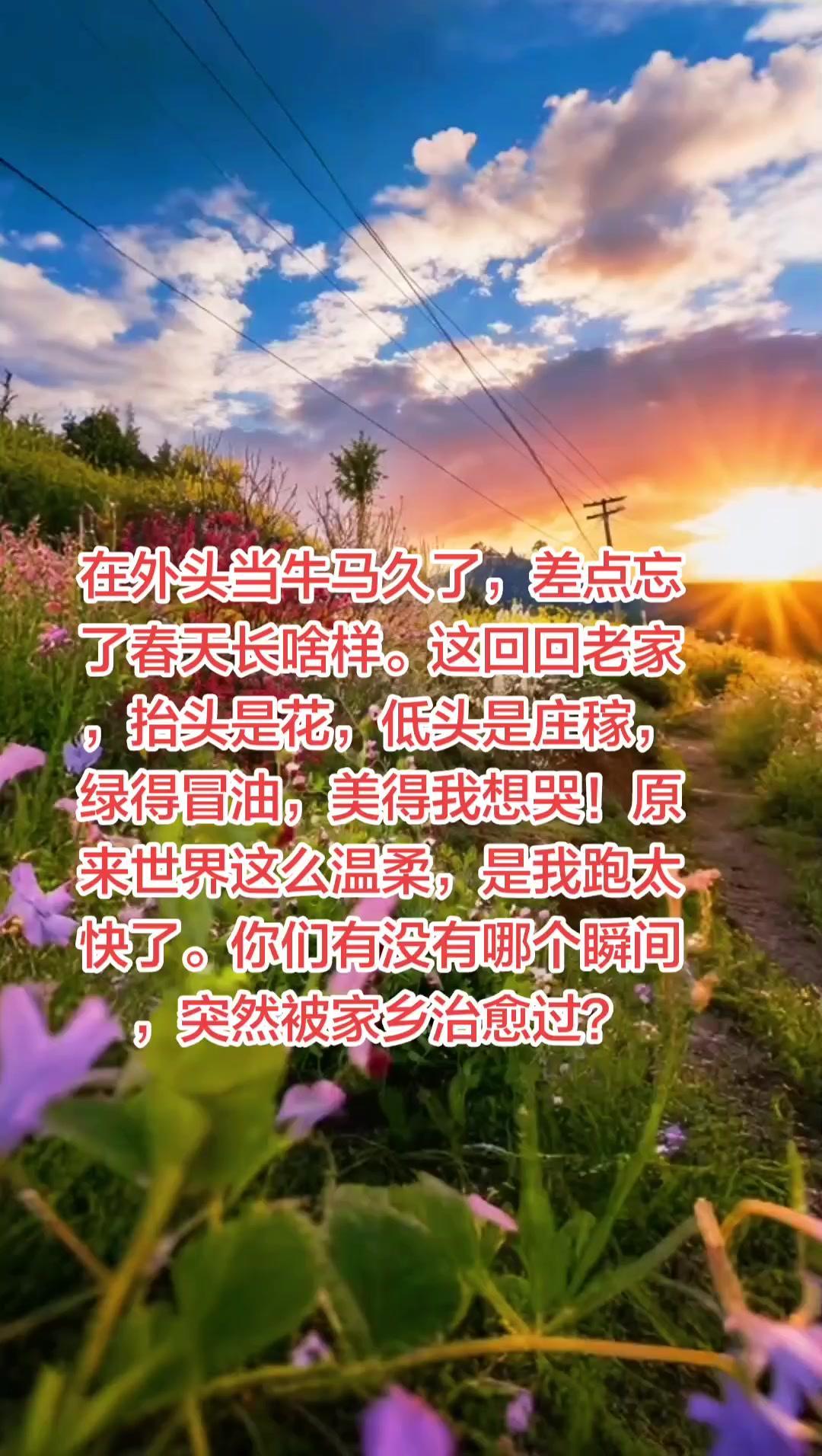 在外的日子，春天都藏哪儿了？🌸在外奔波久了，直到回到家乡，才发现春天原来一直都