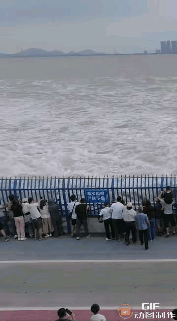 看海的人都没有点前瞻意识吗？非得浪拍身上了才跑？