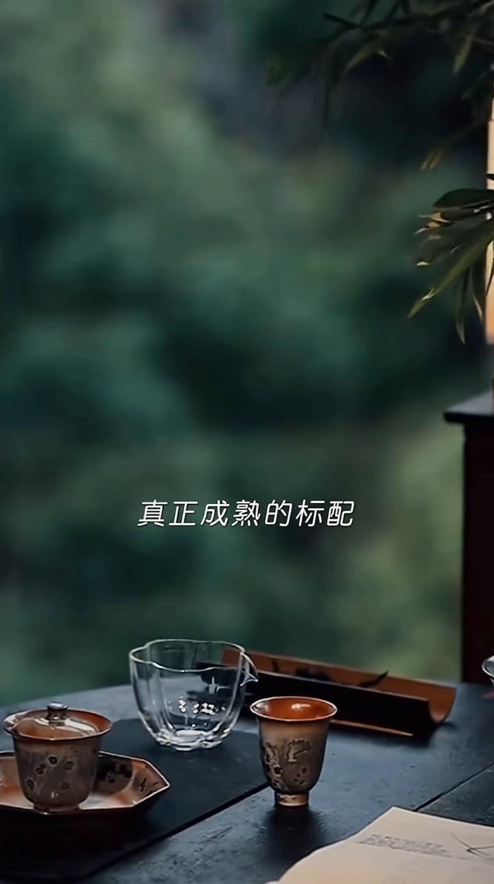 成熟的标配，顶级屏蔽力。
真正成熟的标配是拥有顶级屏蔽力。不围观他人的热闹，不纠