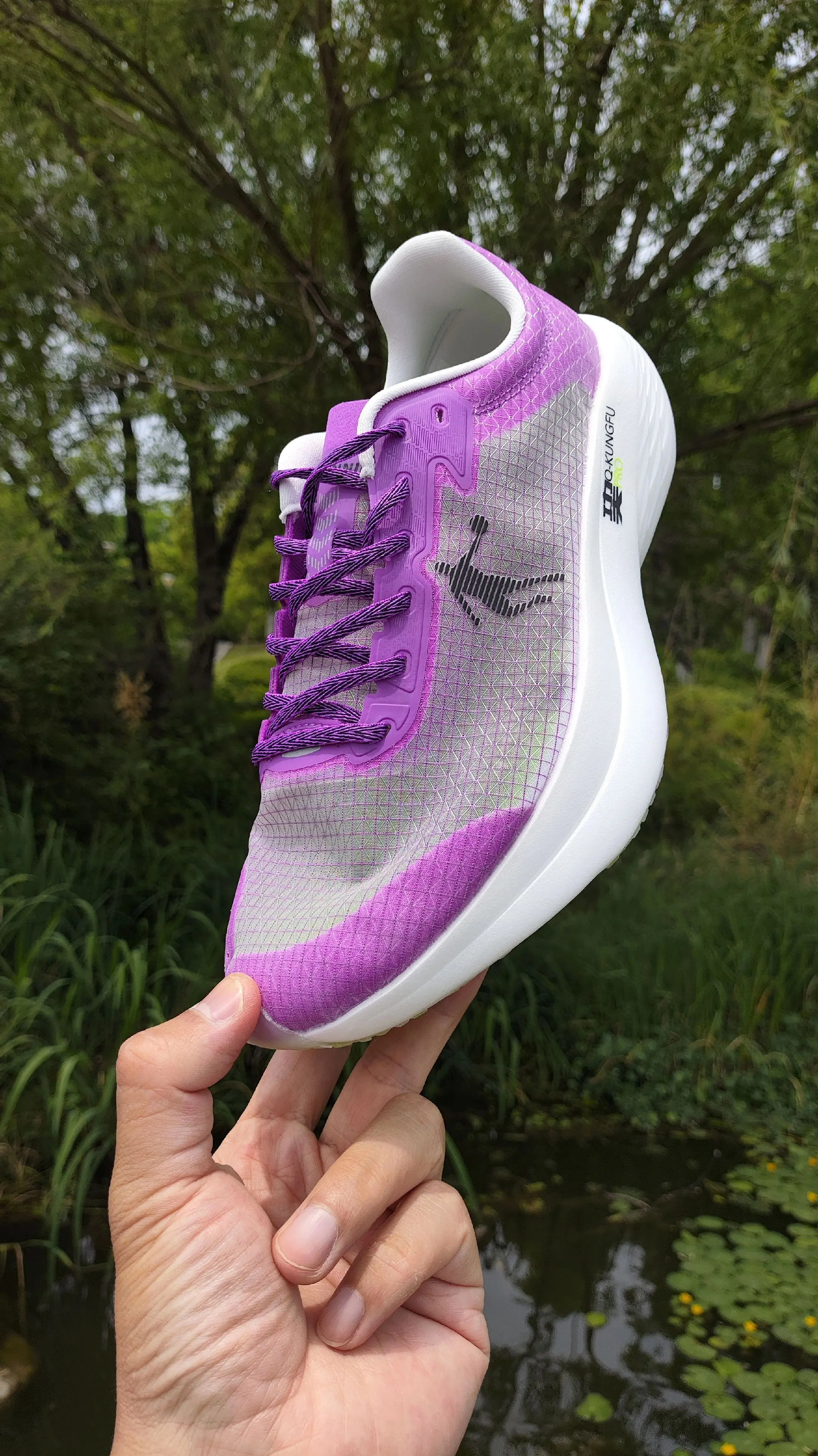 评论区晒出你的战损版【飞影PB1】