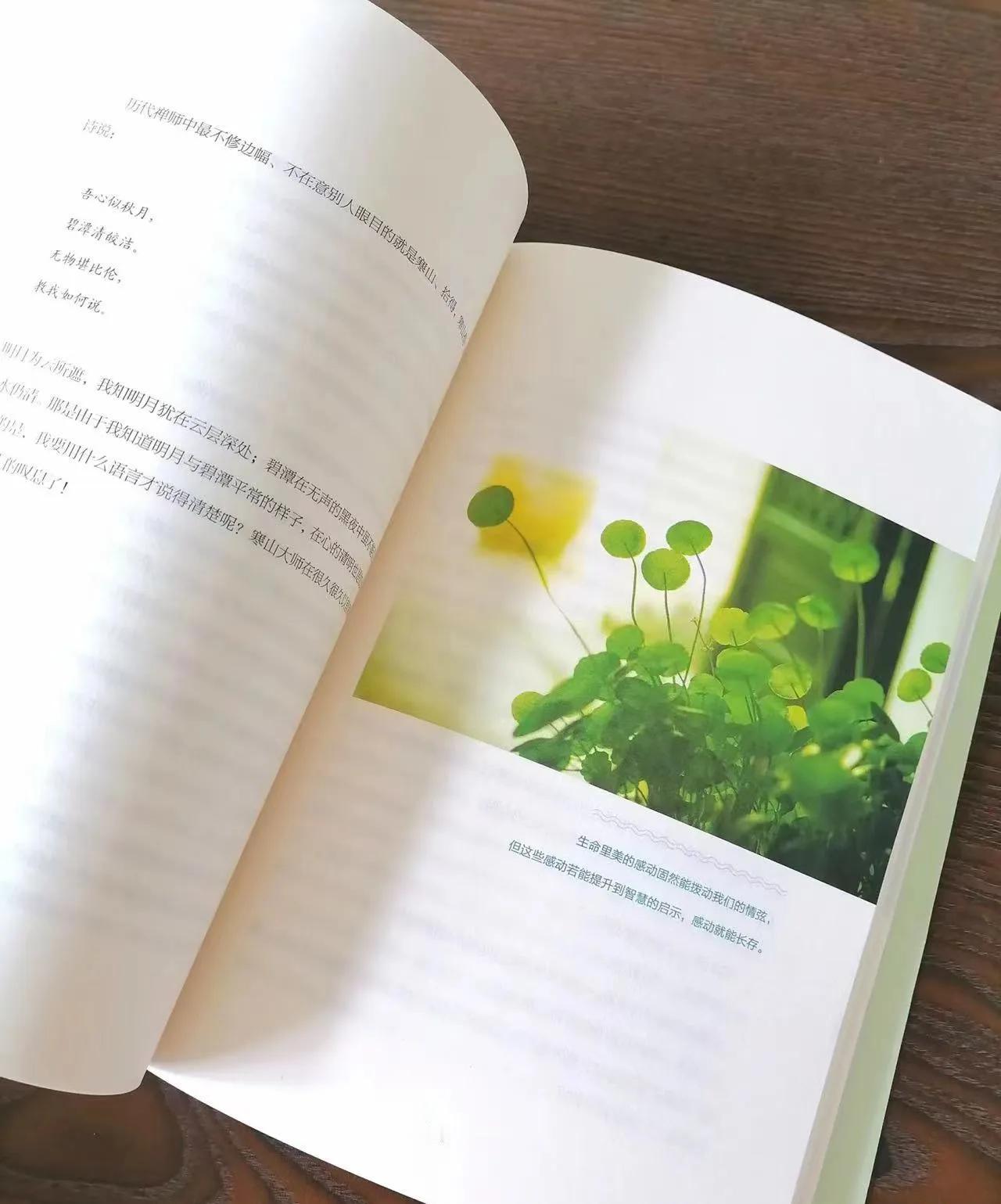 台风天气，读林清玄的散文集，也别有一番滋味。

无论外面如何狂风暴雨，但读书总能