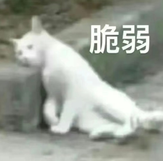 三点睡七点起先到松江 再到徐汇 再再到浦东新区在外面跑了一天 感觉身体被掏空困得