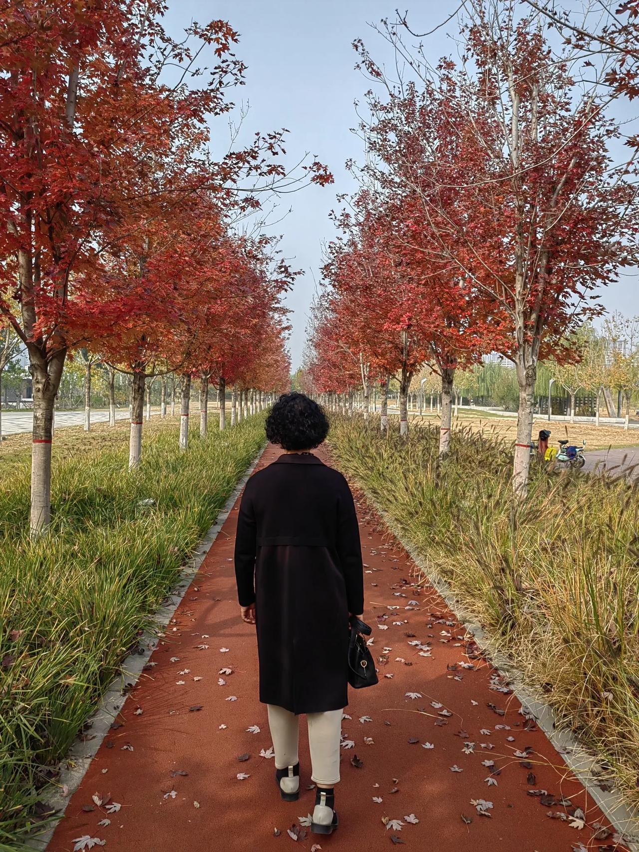 致天国的妈妈
 
妈妈，您走了四天了。
 
这四天的夜里，我总不敢关灯。屋子里一