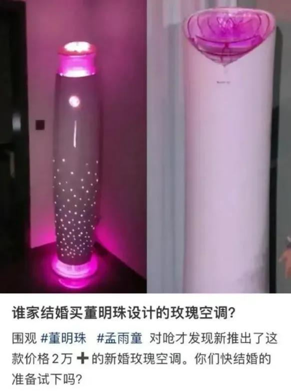 董小姐亲自设计的最新格力玫瑰空调，售价高达29999元，遭网友吐槽“又丑又土又贵
