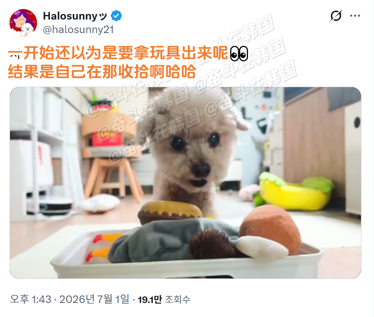 自己的事情自己做~把玩过的玩具整理好的小狗~ 海外新鲜事 热点现场