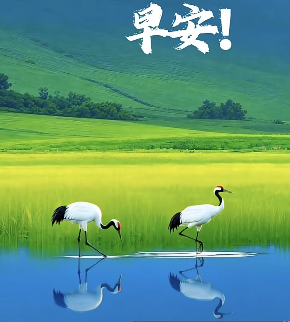 珍惜当下还得靠自己
         昨晚睡眠没开空调也没盖任何东西，但睡的很舒