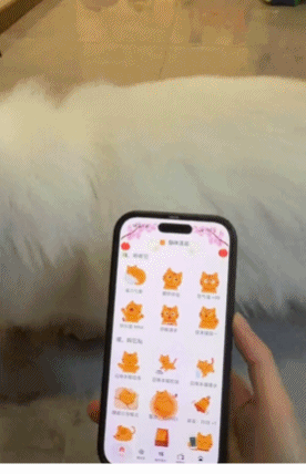 #差评君的好评推荐# 这期其实不算推荐，纯测评。【猫咪语言】App 这俩月挺火的