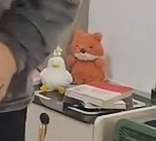 小鸭子灯还在用，另一个好像是jellycat小狐狸 