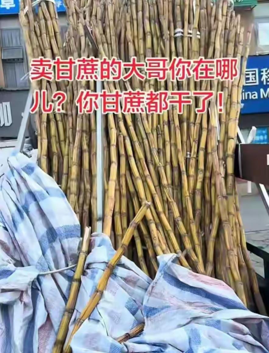 太暖心了，四川，一男子发现，楼下常年摆摊卖甘蔗的大哥从过年之后就没出摊了，路边三