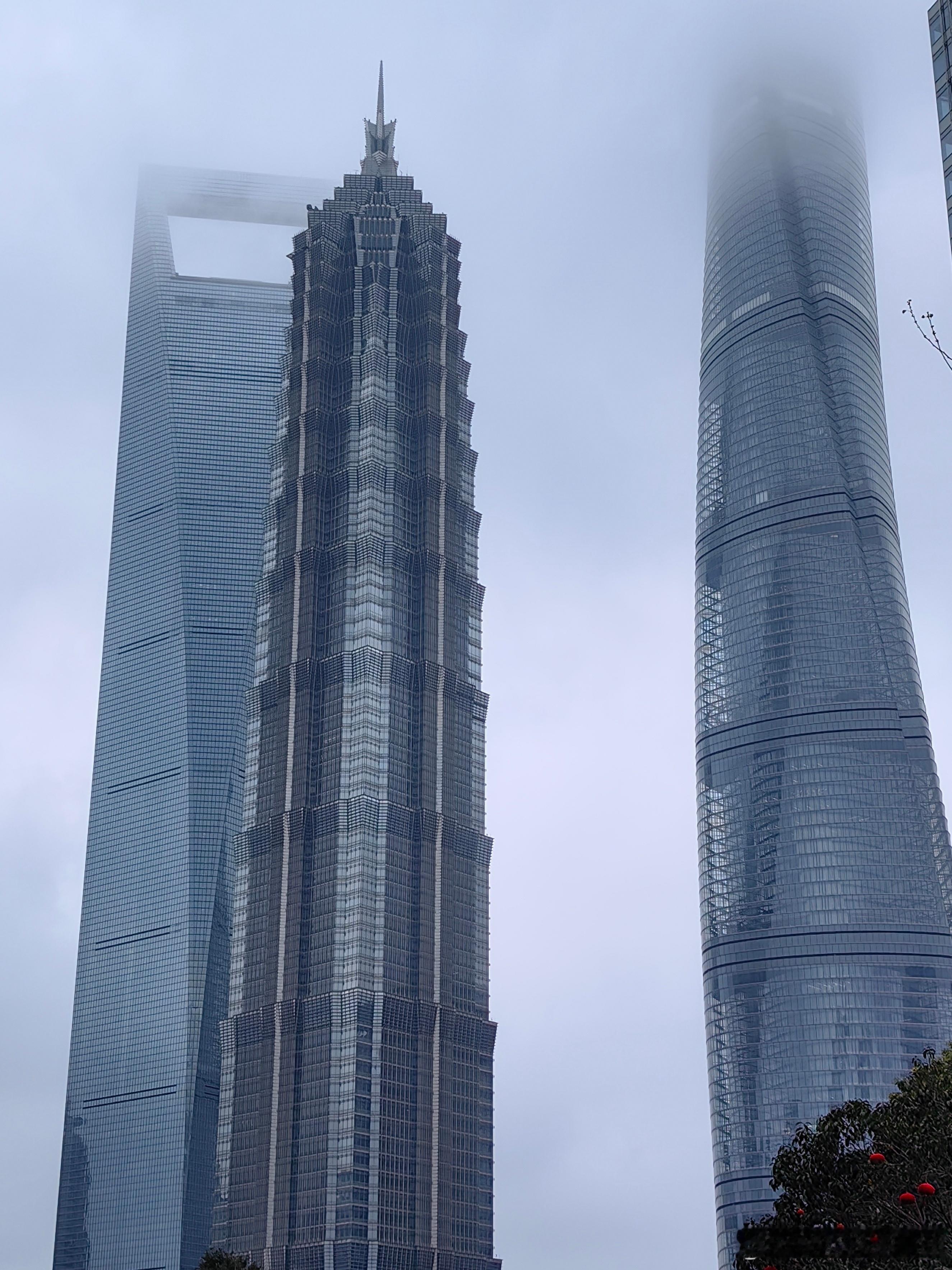 我的2026 钢筋水泥的森林此刻多了几分水墨的温柔生活手记