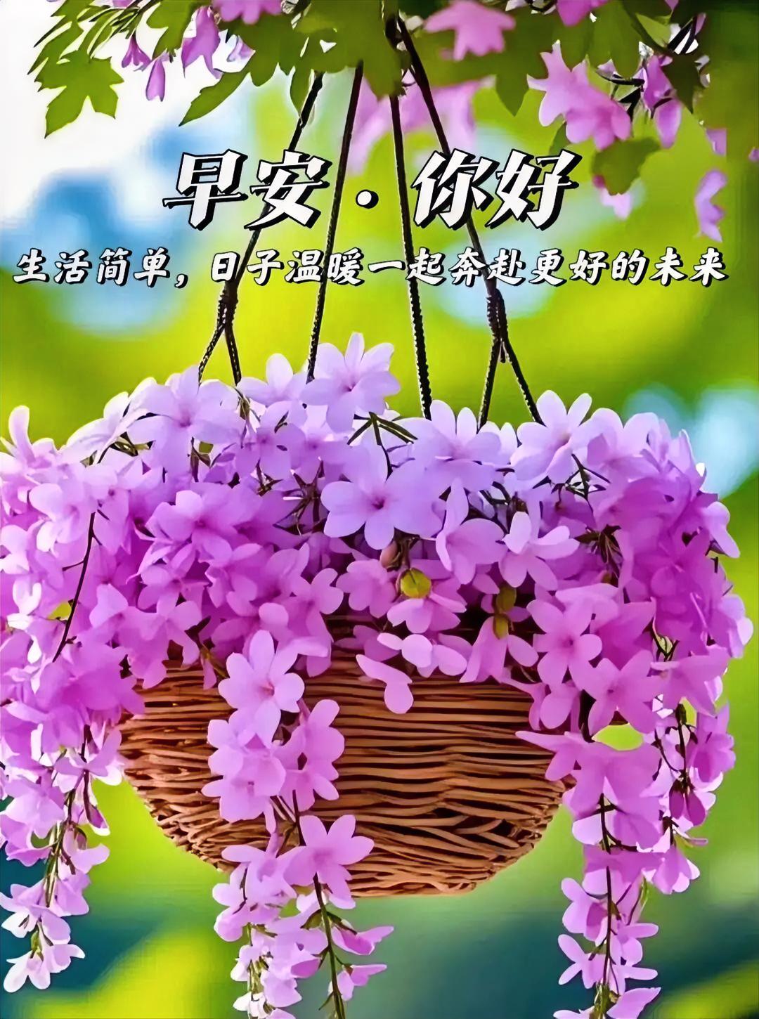早安！紫花满篮，日子简单又温暖，一起奔赴更好的未来吧～
作者加速成长计划