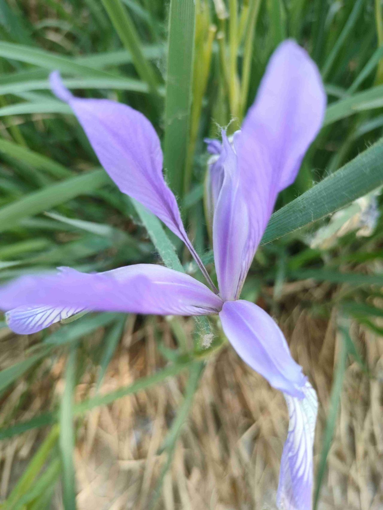 我的今日状态：😁轻松愉快
我这里的天气：☀️晴天