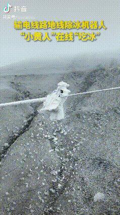 “彻底解释不清了！”零下的温度，电线都结上了冰，电线上趴着个黄乎乎的小东西，正顺