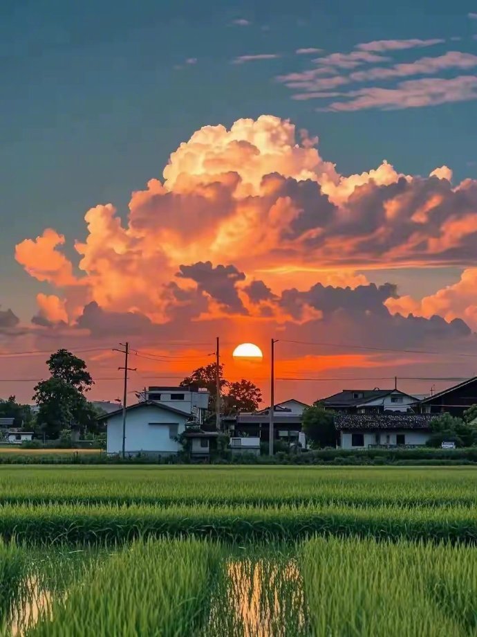 村里的风景，治愈了我一年 