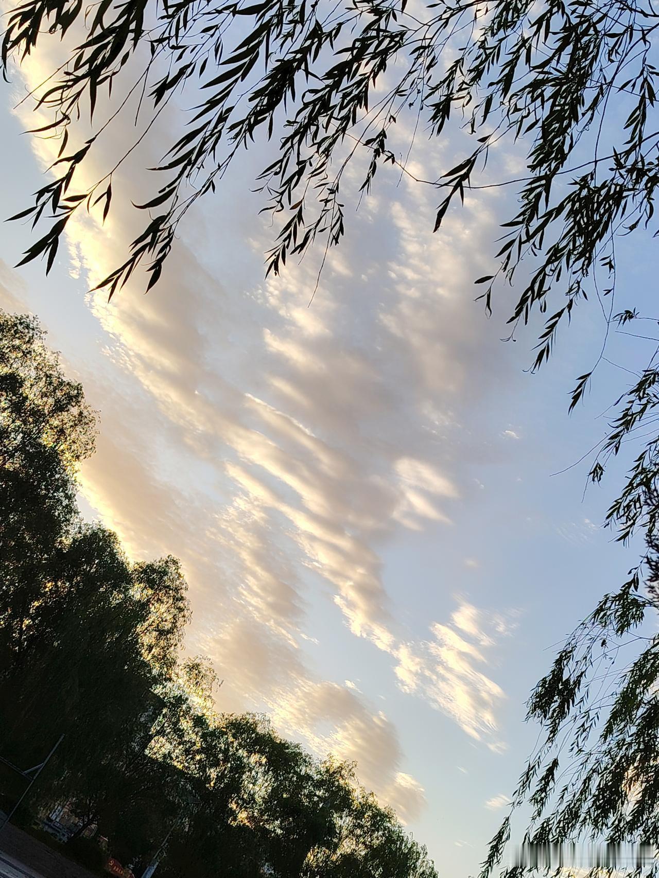 夏日生活打卡季柳丝悠悠垂落，落日给流云镀上温柔金边。晚风穿过枝叶，暮色慢慢铺开，