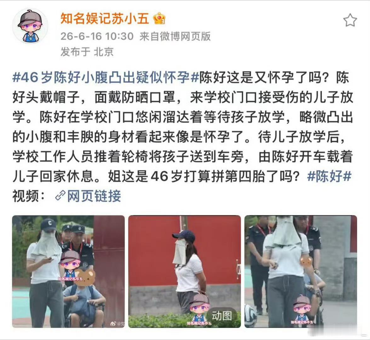 陈好疑似怀四胎曝陈好怀四胎 知名娱记苏小五拍到陈好身材丰腴小腹凸出，说她好像怀四