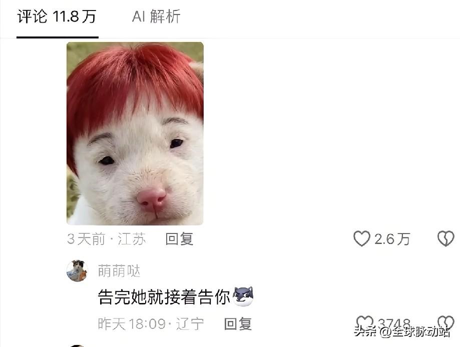 天下无奇不有，还是网友最奇思妙想！
网友直接在李荣浩发的视频评论区中，发了一张照