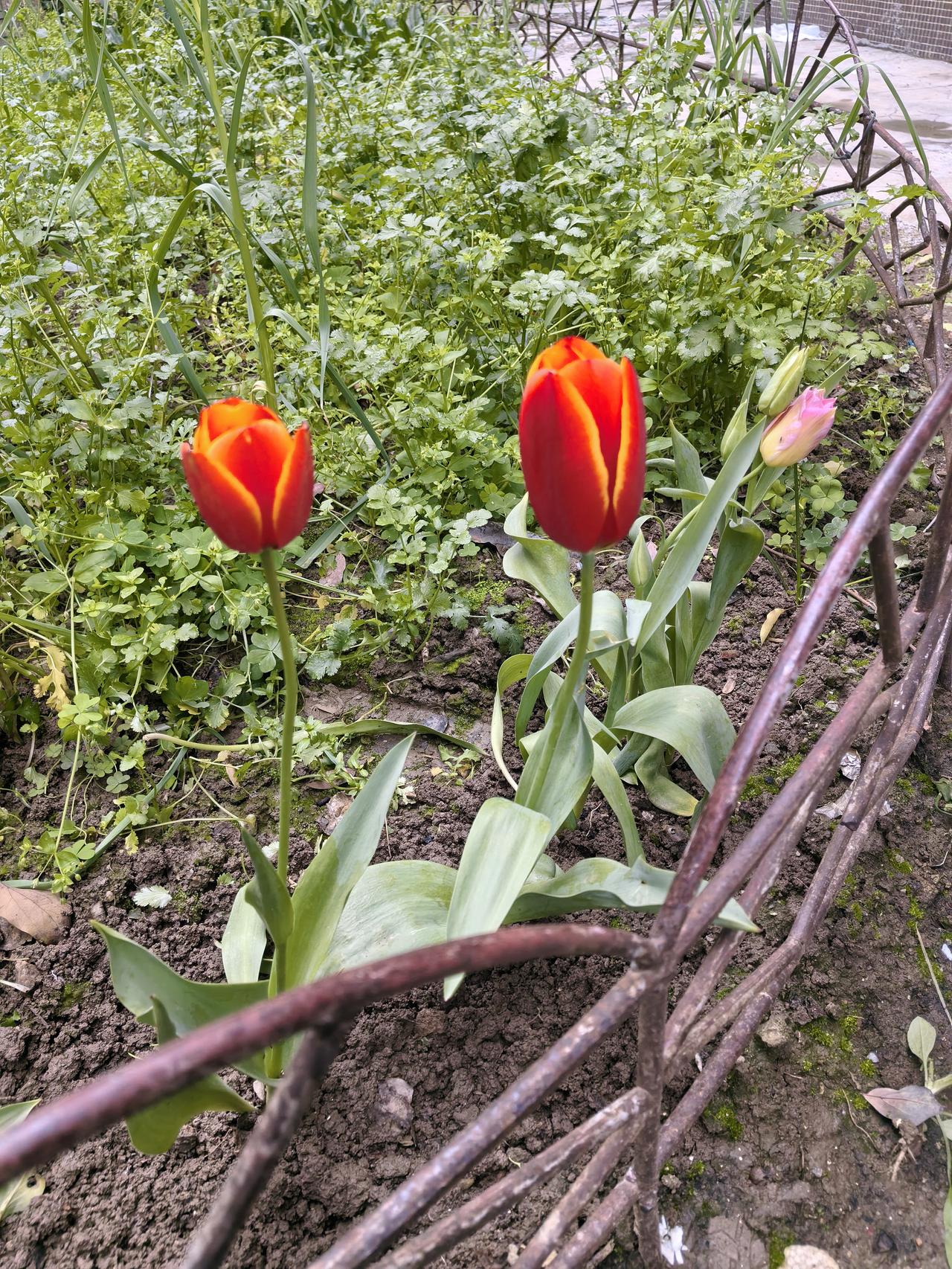 刚刚有个老人家里空开坏了，经理马上让我跟着师傅去爹爹家收物业费


我去了后跟老