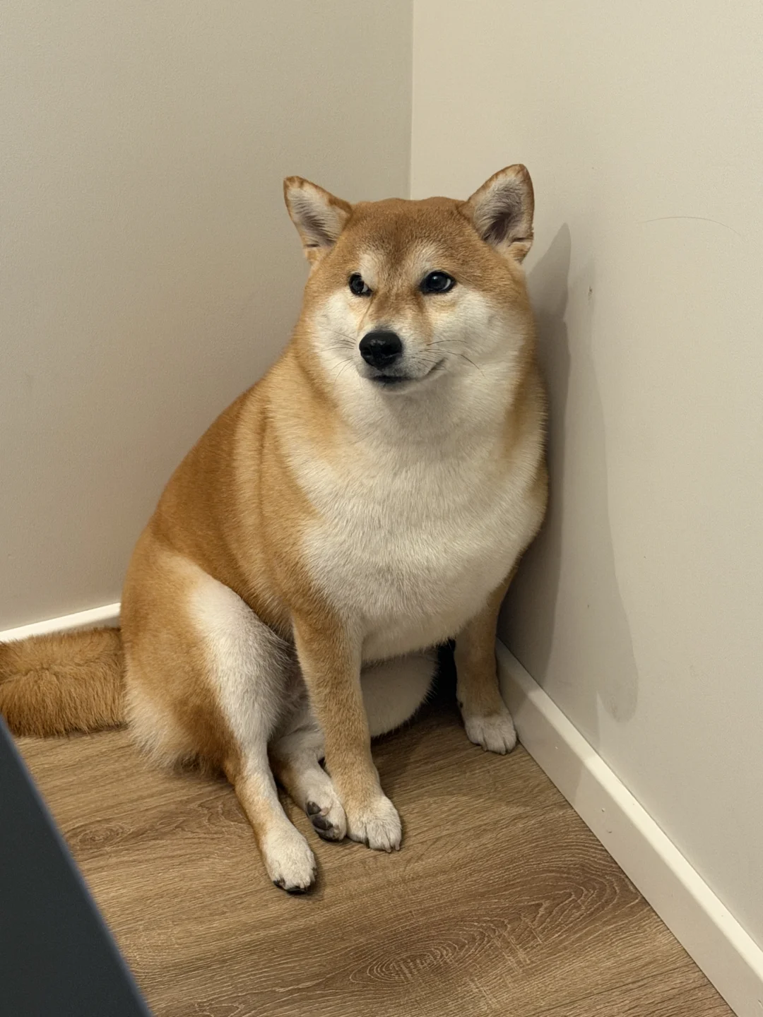 人，真的不给我吃一口吗？