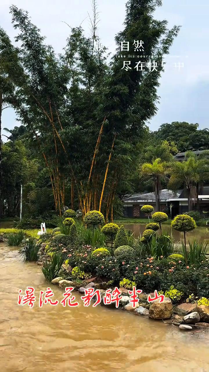 得院花影醉半山。
开所有沉重，顺其自然，尽在快乐中。幸福肆意放纵，那云卷云舒，必