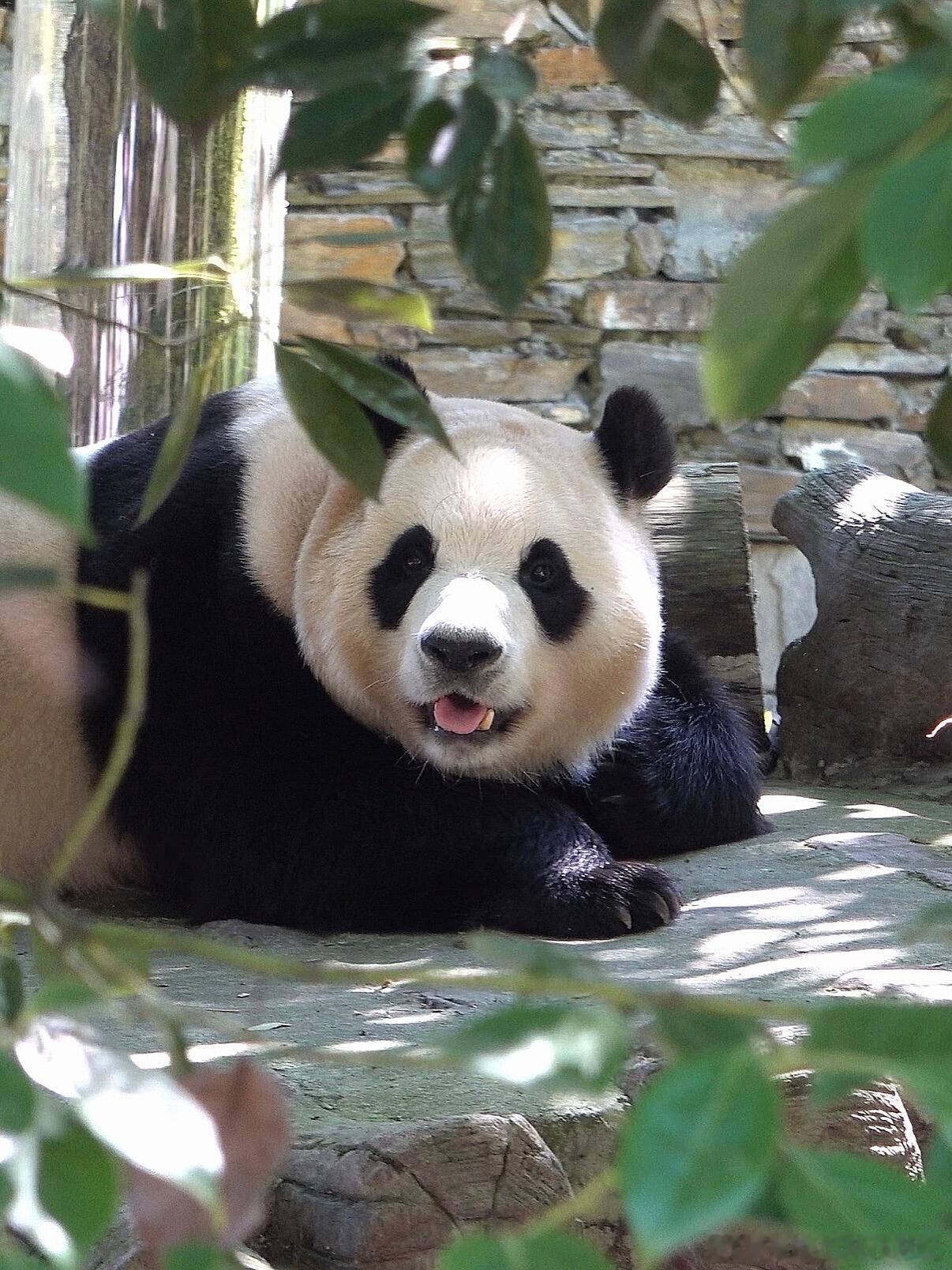 福宝小妞生日快乐！天天开心！ 