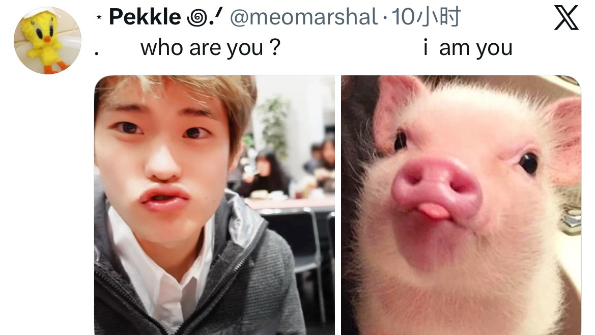 亲爱的小猪🐽 早上好☀️ 