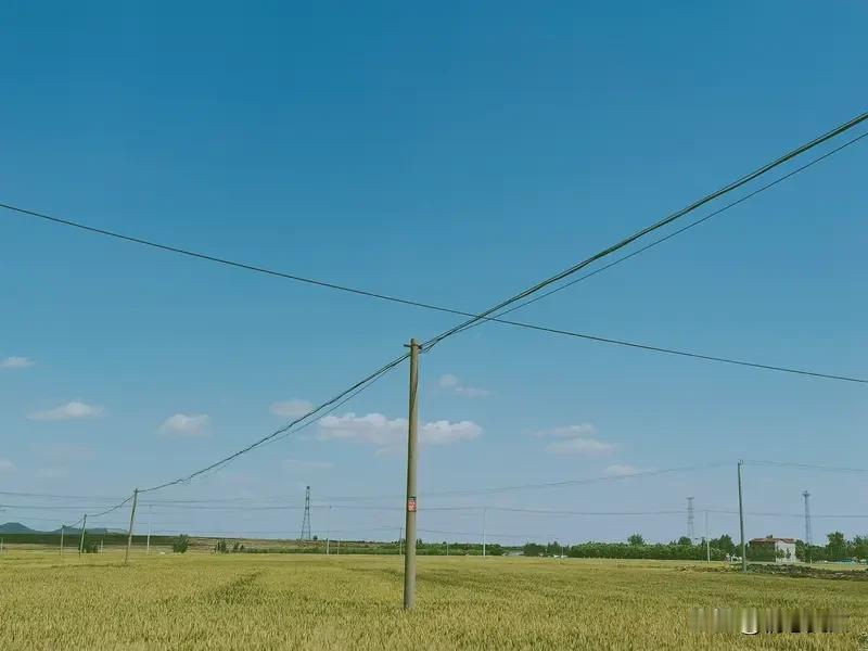 平淡的夏日日常没有什么轰轰烈烈的故事，只是好好感受身边细碎的美好，吃一口清甜的瓜