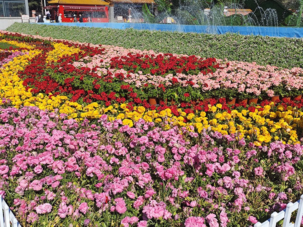 北陵花朝节景色一观
   沈阳北陵公园第十届花朝节，百花齐放，景象万千。正门前的