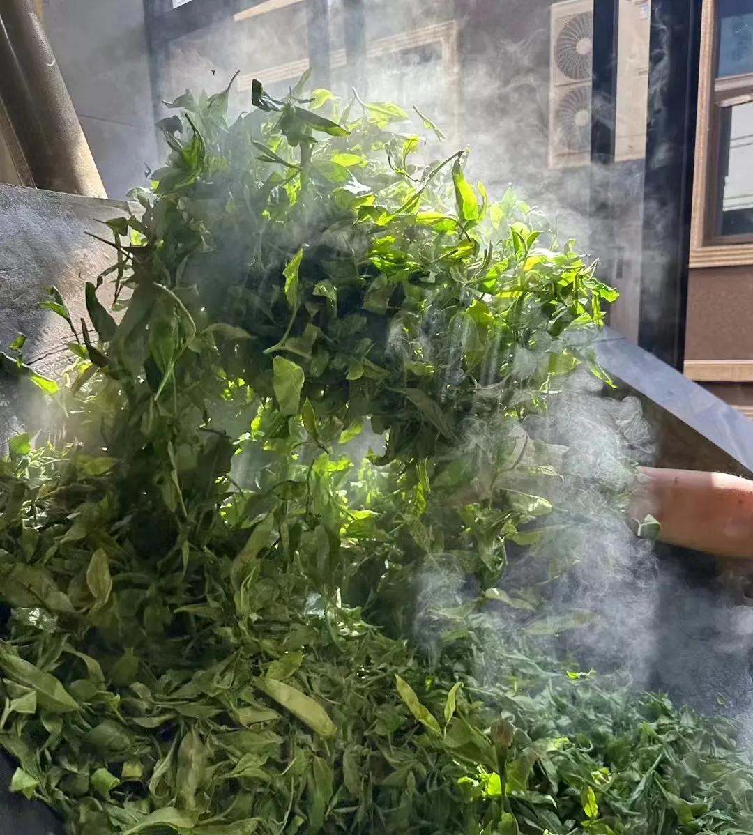 最后一波秋茶啦，秋茶便宜又好喝