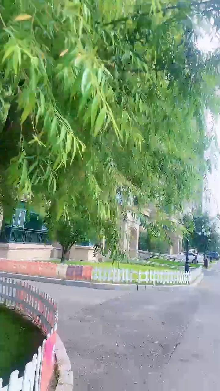 今天是七月二十一日，一顺百顺，福气来。祝你，祝我，祝我们福顺、运顺、财顺、生活顺