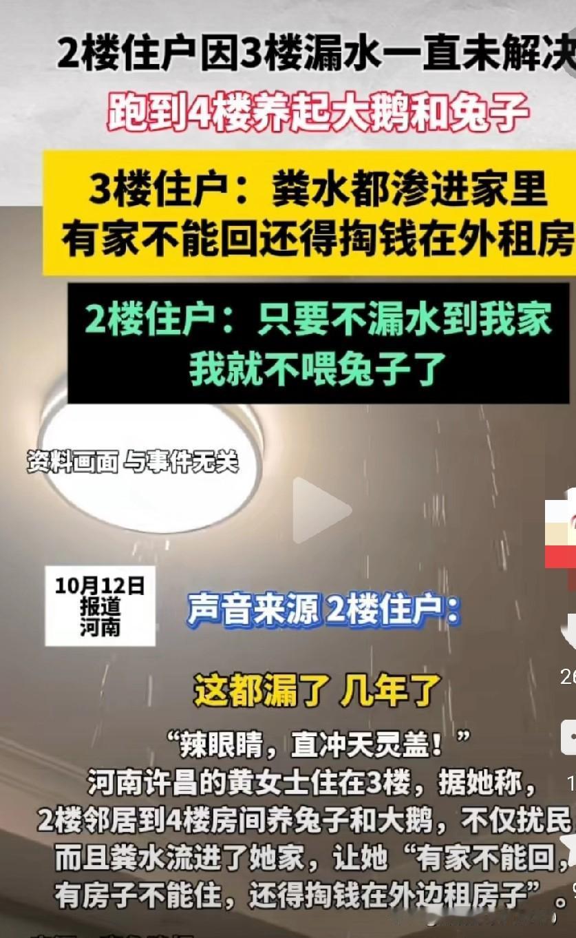 恶事还要恶招来磨！二楼漏水，三楼迟迟不解决，二楼住户怒而在四楼养兔子，养大鹅！结