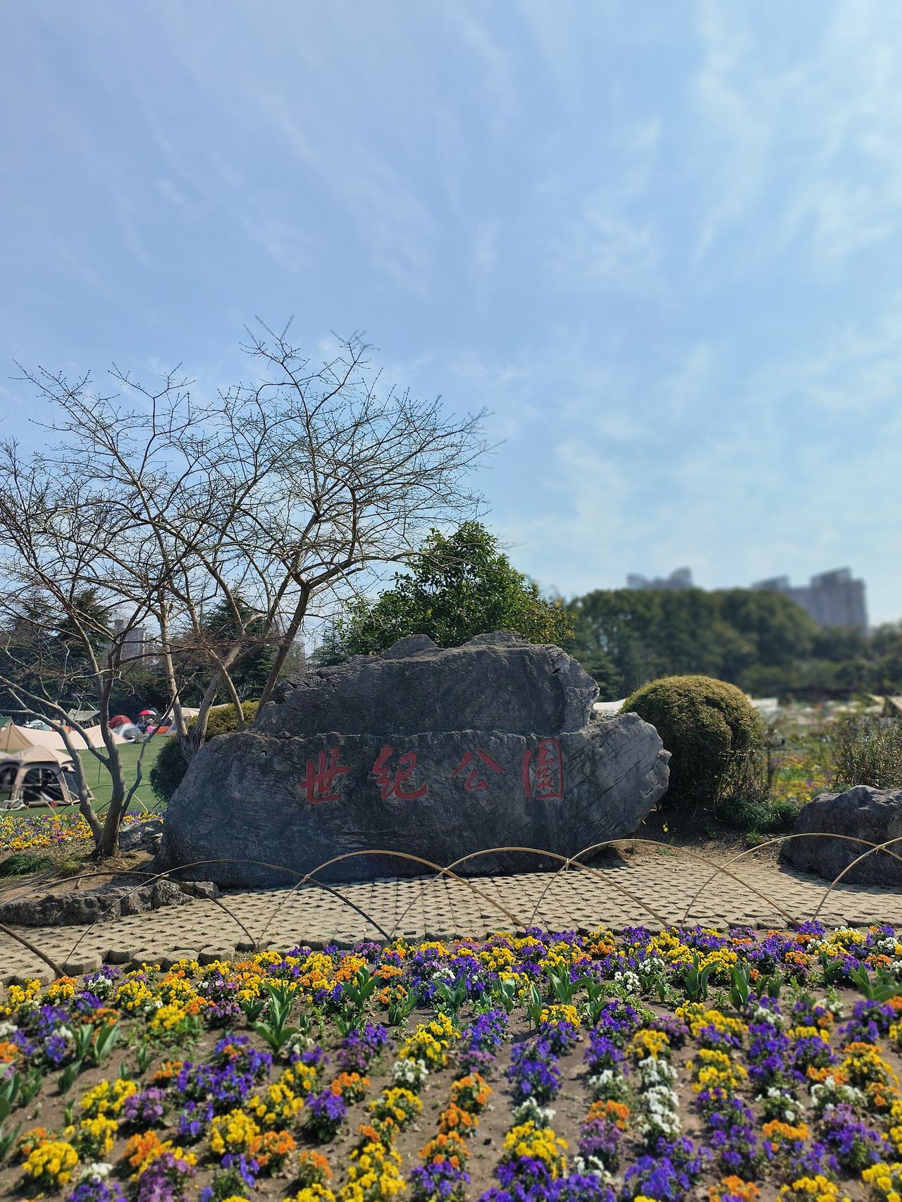 世纪公园随手拍实景图分享！

春日午后随手拍实景图分享！