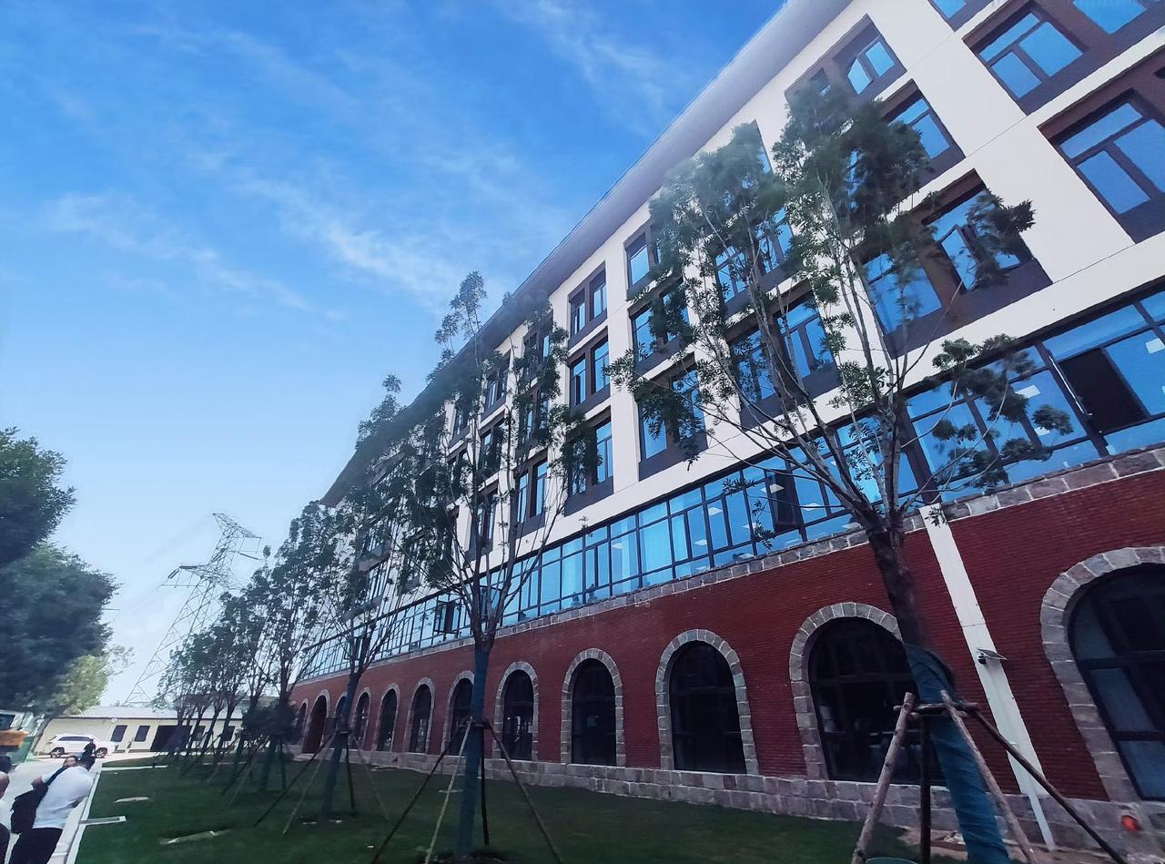 【京津冀唯一康养特色高职落地石家庄！石家庄康养职业学院获批 2026 年正式招生