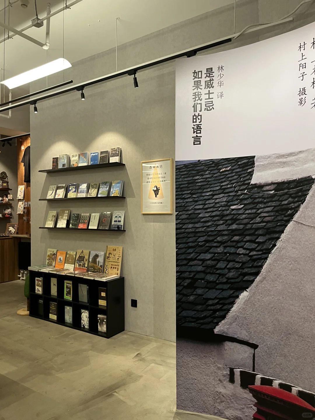在五道口书店和酒吧合体了？i人狂喜！