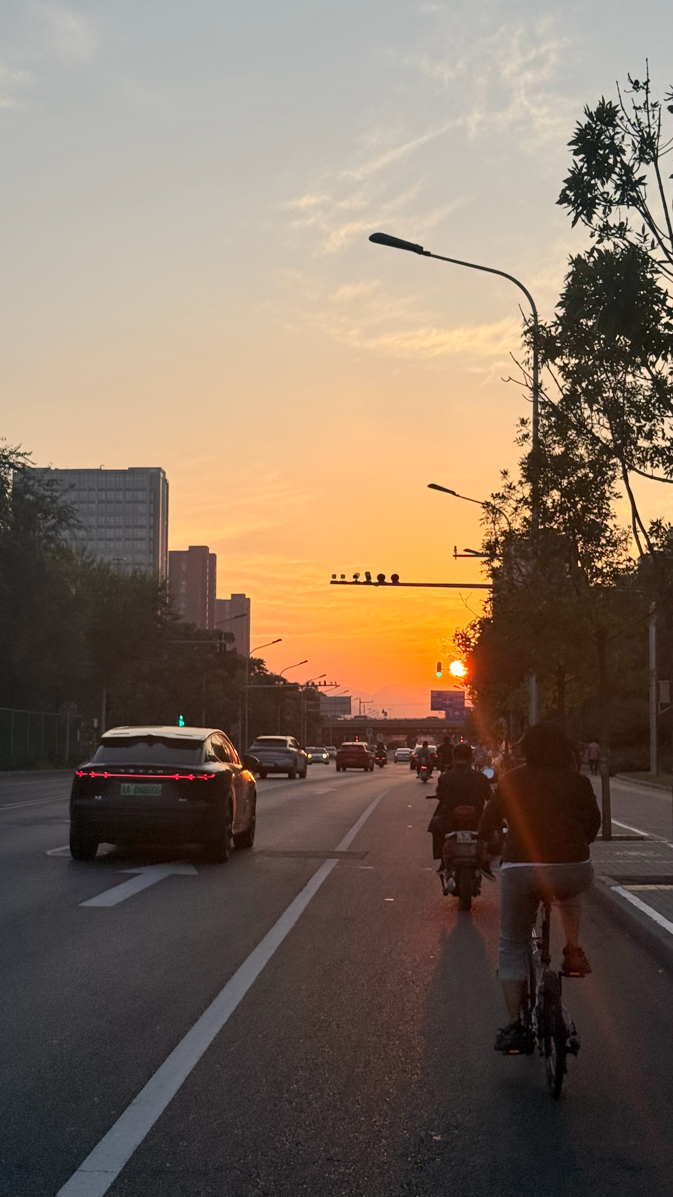 又是一天美丽的晚霞，为了带娃放学后能在户外多待会儿，特意绕远道，没想到竟意外收获