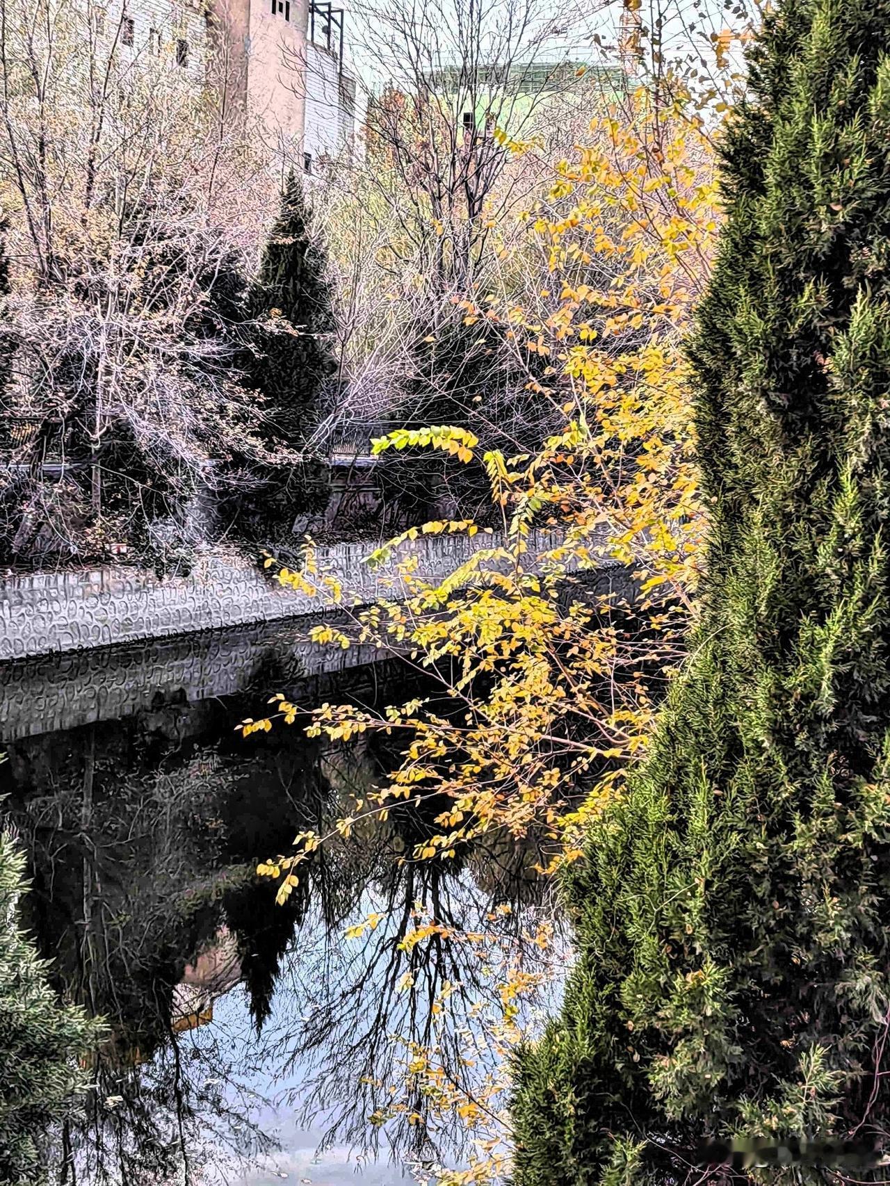 我的今日状态：😁轻松愉快

我这里的天气：☀️晴天

友们周末愉快！

时间过