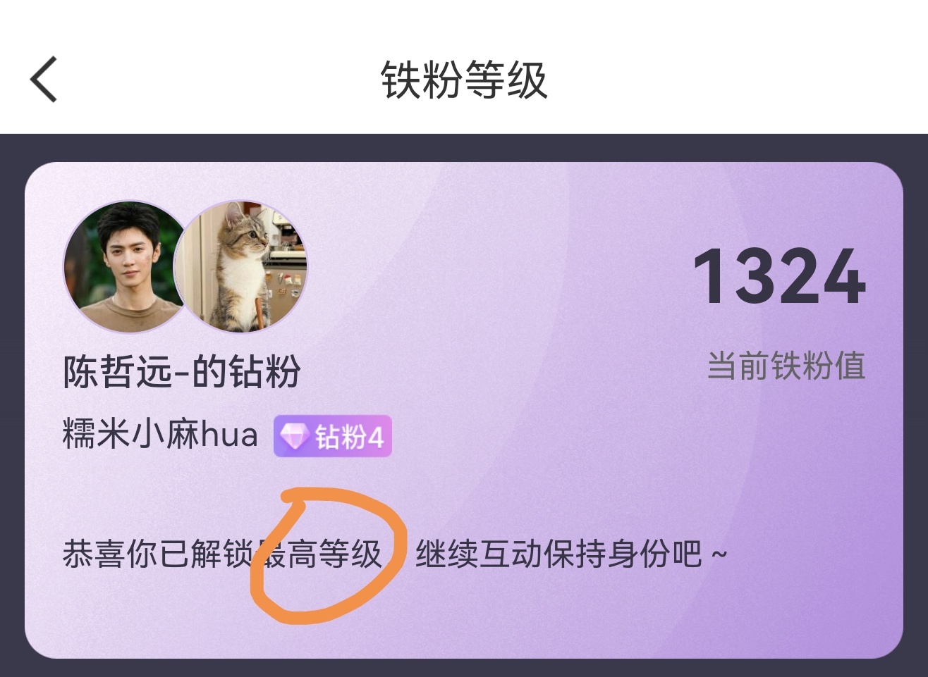 💎4最高？之上就没有了吗 