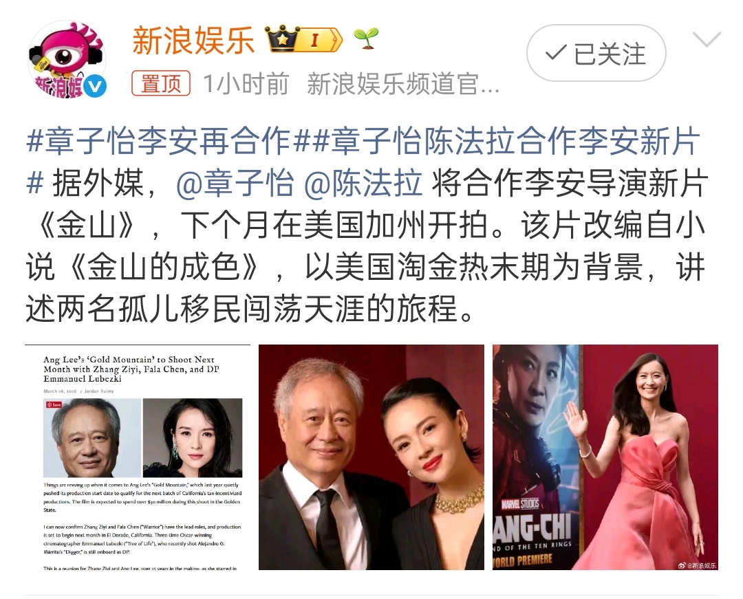 章子怡李安再合作 那昨天看到的那个寻子的电影是假瓜吗