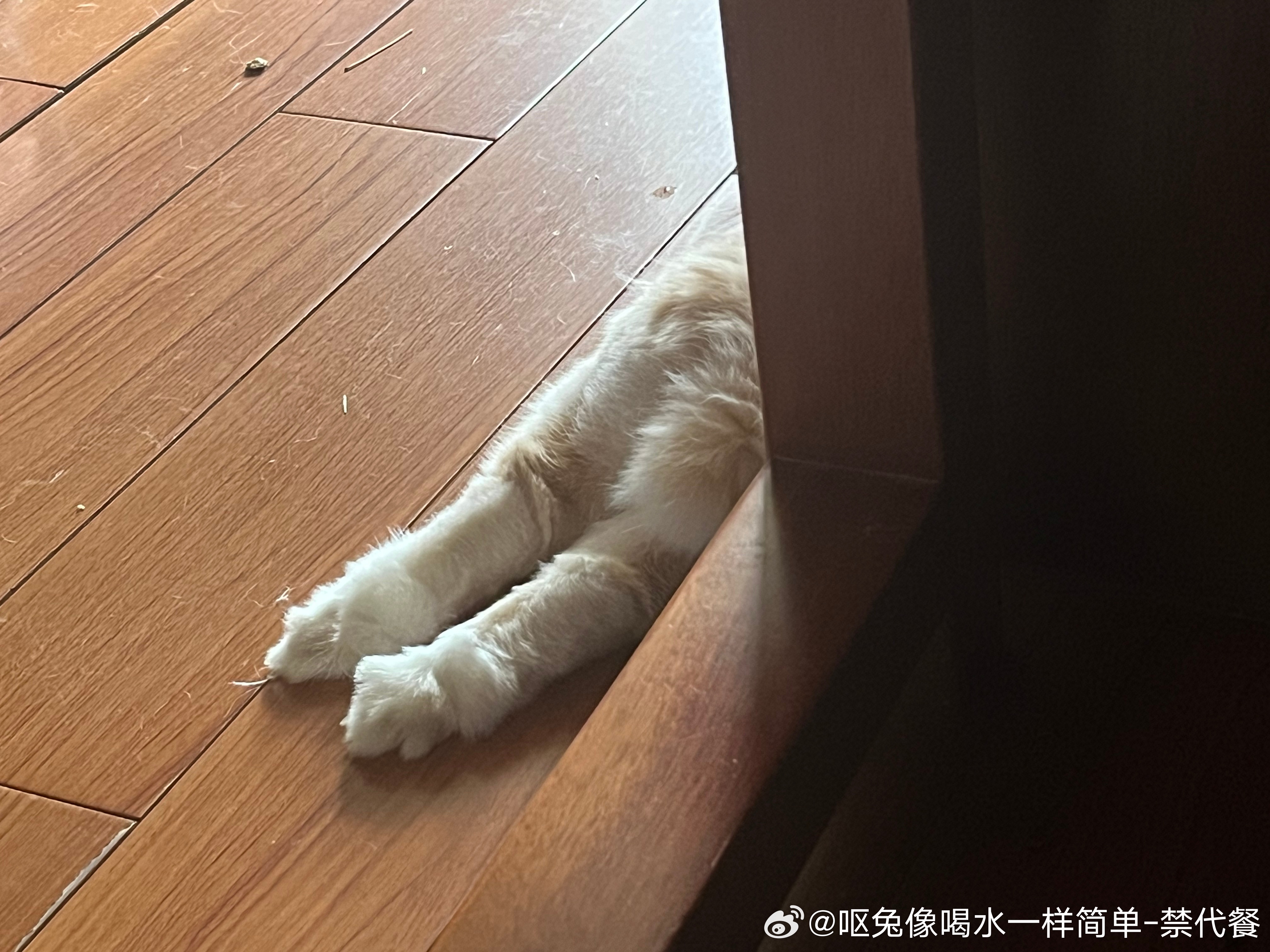 14546🐇【42码】大jio 
